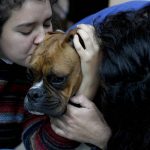 Agustina Ancales and her partner Pablo Vazquez pose for a photo with their dog Sigmoide in Lomas de Zamora, Argentina, Wednesday, Sept. 8, 2021. Ancales' mother got the dog for the couple as a gift after Vazquez was diagnosed with cancer during the COVID-19 lockdown to try to cheer them up. (AP Photo/Natacha Pisarenko)