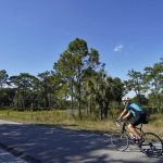 
              A man bikes through the Flatwood Conservation Park on Friday, Oct. 22, 2021, outside Tampa, Fla. The census lists no people living in the Flatwoods Conservation Park outside Tampa, even though it says there is a home occupied by people. According to Hillsborough County spokesman Todd Pratt, two county employees live there while maintaining security for the park. (AP Photo/Chris O'Meara)
            