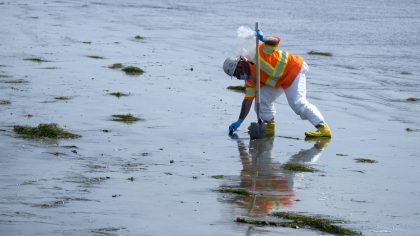 A worker in protective suit cleans the contaminated beach after an oil spill in Newport Beach, Cali...