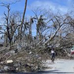 
              In this handout photo provided by the Office of the Vice President, a man walks past toppled trees due to Typhoon Rai in Siargao island, Surigao del Norte, southern Philippines on Sunday Dec. 19, 2021. A strong typhoon engulfed villages in floods that trapped residents on roofs, toppled trees and knocked out power in southern and central island provinces, where more than 300,000 villagers had fled to safety before the onslaught, officials said. (Office of the Vice President via AP)
            
