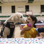 
              Leanna Arcila, 7, is licked by Watson, a therapy dog with the Pawtucket police department, as she receives her COVID-19 vaccination from Dr. Eugenio Fernandez at Nathanael Greene Elementary School in Pawtucket, R.I., Tuesday, Dec. 7, 2021. Even as the U.S. reaches a COVID-19 milestone of roughly 200 million fully-vaccinated people, infections and hospitalizations are spiking, including in highly-vaccinated pockets of the country like New England. (AP Photo/David Goldman)
            