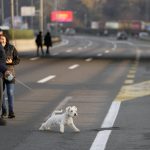 
              A protester with a dog walks on the highway during a protest in Belgrade, Serbia, Saturday, Dec. 4, 2021. Thousands of protesters have gathered in Belgrade and other Serbian towns and villages to block roads and bridges despite police warnings and an intimidation campaign launched by authorities against the participants. t was the second such nationwide protest called by environmental groups amid growing public discontent with the autocratic rule of Serbian President Aleksandar Vucic. (AP Photo/Darko Vojinovic)
            