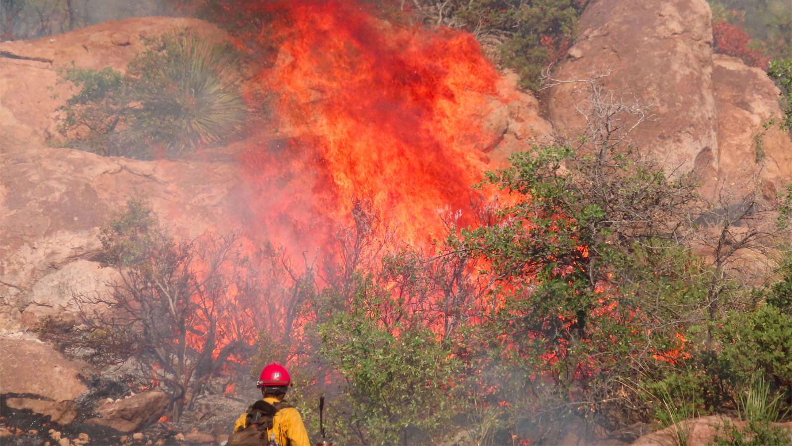 The Telegraph Fire consumed more than 180,000 acres southeast of Superior, Arizona, in June 2021. (...