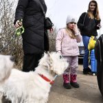 
              A girl stands next to her family and dogs after arriving from Ukraine, crossing the border in Beregsurany, Hungary, Saturday, Feb 26, 2022. Hungary has extended legal protection to those fleeing the Russian invasion. (AP Photo/Anna Szilagyi)
            