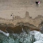
              FILE - In an aerial photo take with a drone, workers in protective suits continue to clean an oil-contaminated beach in Huntington Beach, Calif., on Oct. 11, 2021. A Houston-based oil company on Monday sued two container ship operators and an organization that helps oversee marine traffic, saying they failed to prevent last fall's underwater pipeline leak off the Southern California coast. Amplify Energy Corp., which owns the pipeline that ruptured and faces a criminal charge for its oversight, claims that in January 2021 two ships dragged their anchors across the pipeline that ferried crude from offshore oil platforms to the coast. (AP Photo/Ringo H.W. Chiu, File)
            