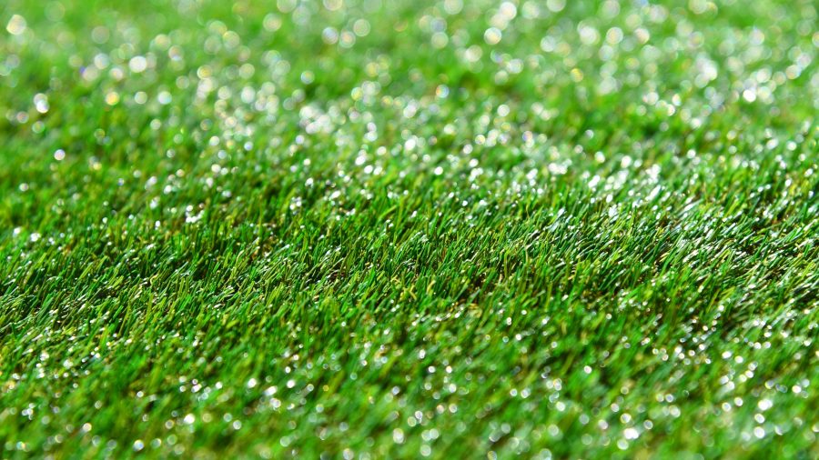 arizona-bill-would-require-hoas-to-allow-people-to-put-in-artificial-grass