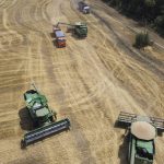 
              FILE - Farmers use combines to harvest a wheat field near the village Tbilisskaya, Russia, on July 21, 2021. Russia accounts for 30% of wheat exports, which means that poorer countries that depend on imports could face major supply shocks. (AP Photo/Vitaly Timkiv, File)
            