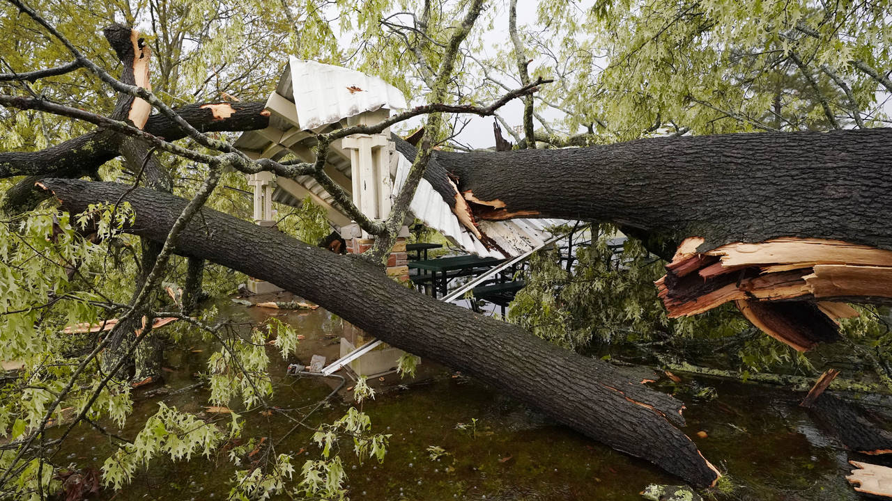 A tree toppled by the storm rests on the roof of a gazebo at Battlefield Park in Jackson, Miss., fo...