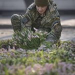 
              A Ukrainian servicewoman arranges bunches of tulips on the pavement in Sophia square in Kyiv, Ukraine, Friday, March 18, 2022. Residents of the Ukrainian capital of Kyiv on took to a central square to arrange some 1.5 million tulips in the shape of the country's coat of arms, in a defiant show of normalcy as Russian forces surround and bomb the city. (AP Photo/Vadim Ghirda)
            