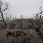 
              Sasha, 50, waits for his dog Druzhok before crossing a bridge destroyed by the Russian army when it retreated from villages in the outskirts of Kyiv, Ukraine, Friday, April 1, 2022. (AP Photo/Rodrigo Abd)
            