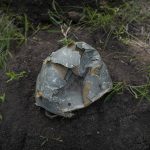 
              The helmet of a Russian soldier lays in a trench in the village of Malaya Rohan, Kharkiv region, Ukraine, Monday, May 16, 2022. (AP Photo/Bernat Armangue)
            