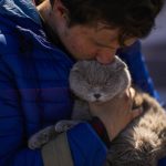 
              Ivan Andreiev who fled from Mariupol with his family kisses his cat Leonardo upon his arrival to a reception center for displaced people in Zaporizhzhia, Ukraine, Sunday, May 8, 2022. Thousands of Ukrainian continue to leave Russian occupied areas. (AP Photo/Francisco Seco)
            