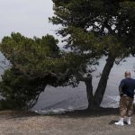 
              An onlooker stands near an ocean cliff in Palos Verdes Estates, Calif., Monday, May 23, 2022. Four people fell off a Southern California ocean cliff in the early morning darkness on Monday and a man was killed and two women were critically injured, authorities said.  (AP Photo/Jae C. Hong)
            