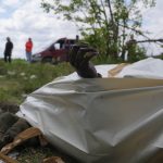 
              The withered hand of a dead Russian soldier pokes out of a body bag during the exhumation of killed Russian soldiers' at their former positions near the village of Malaya Rohan, on the outskirts of Kharkiv, Wednesday May 18, 2022. (AP Photo/Andrii Marienko)
            