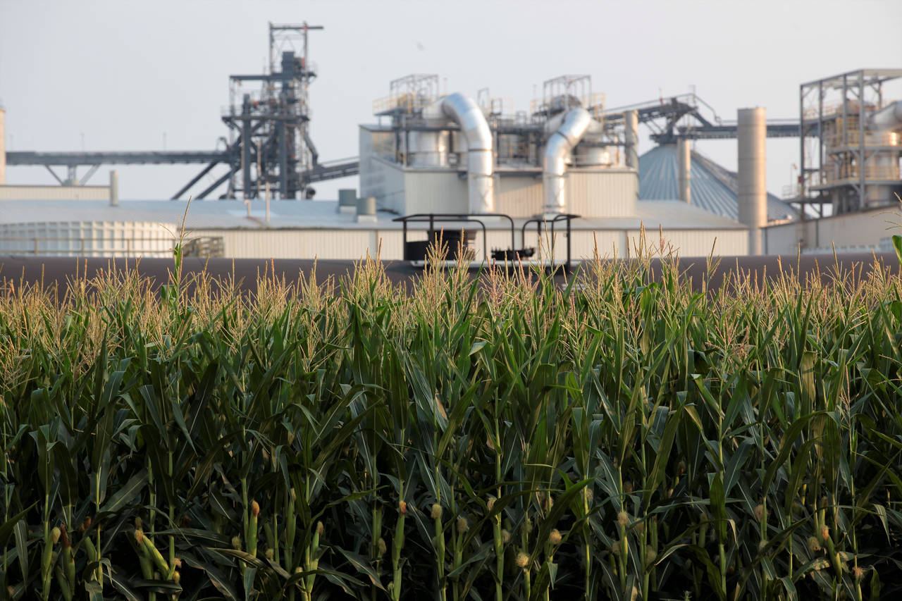 FILE - An ethanol refinery is shown on July 22, 2021, in Chancellor, S.D. The Biden administration ...