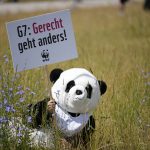 
              A protestor dressed as a panda bear holds a sign which reads 'Justice is different' during a demonstration ahead of the G7 meeting in Munich, Germany, Saturday, June 25, 2022. The G7 Summit will take place at Castle Elmau near Garmisch-Partenkirchen from June 26 through June 28, 2022. (AP Photo/Martin Meissner)
            