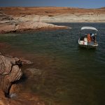 
              A Utah State University research team pulls in a gillnet net at Lake Powell on Tuesday, June 7, 2022, in Page, Ariz. They are on a mission to save the humpback chub, an ancient fish under assault from nonnative predators in the Colorado River. (AP Photo/Brittany Peterson)
            