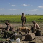 
              Ukrainian servicemen take a break after digging trenches near the frontline in Donetsk region, eastern Ukraine, Wednesday, June 8, 2022. (AP Photo/Bernat Armangue)
            
