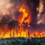 
              This photo provided by the fire brigade of the Gironde region (SDIS 33) shows a wildfire near Landiras, southwestern France, Sunday July 17, 2022 . Firefighters battled wildfires raging out of control in France and Spain on Sunday as Europe wilted under an unusually extreme heat wave that authorities in Madrid blamed for hundreds of deaths. (SDIS 33 via AP)
            