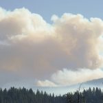 
              Seen from State Route 41, smoke rises from the Washburn Fire burning in Yosemite National Park, Calif., Tuesday, July 12, 2022. (AP Photo/Godofredo A. Vásquez)
            
