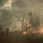 
              A firefighter walks among flames at a forest fire near Louchats, 35 kms (22 miles) from Landiras in Gironde, southwestern France, Monday, July 18, 2022. France scrambled more water-bombing planes and hundreds more firefighters to combat spreading wildfires that were being fed Monday by hot swirling winds from a searing heat wave broiling much of Europe. With winds changing direction, authorities in southwestern France announced plans to evacuate more towns and move out 3,500 people at risk of finding themselves in the path of the raging flames. (Philippe Lopez/Pool Photo via AP)
            