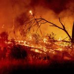 
              Firefighters battle the Electra Fire in the Rich Gulch community of Calaveras County, Calif., on Monday, July 4, 2022. According to Amador County Sheriff Gary Redman, approximately 100 people sheltered at a Pacific Gas & Electric facility before being evacuated in the evening. (AP Photo/Noah Berger)
            