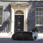 
              Larry the Cat, Britain's Chief Mouser to the Cabinet Office rests in front of 10 Downing Street in London, Friday, July 8, 2022. Britain's Prime Minister Boris Johnson announced that less than three years after becoming prime minister, he was resigning and would remain in office only until a successor emerged.(AP Photo/Frank Augstein)
            