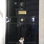 
              Larry the Cat, Britain's Chief Mouser to the Cabinet Office sits at the door to 10 Downing Street in London, Friday, July 8, 2022. Britain's Prime Minister Boris Johnson announced that less than three years after becoming prime minister, he was resigning and would remain in office only until a successor emerged.(AP Photo/Frank Augstein)
            