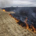 
              Grain fields burn, on the outskirts of Kurakhove, Donetsk Oblast, eastern Ukraine, Thursday, July 21, 2022. (AP Photo/Nariman El-Mofty)
            