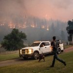 A man runs to a truck as a wildfire called the McKinney fire burns in Klamath National Forest, Calif., on Saturday, July 30, 2022. (AP Photo/Noah Berger)