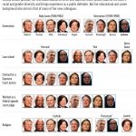 
              The Supreme Court's newest justice adds to the court's diversity but also has much in common with her the other sitting justices. (AP Graphic)
            