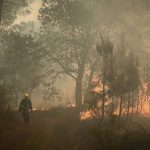 
              A firefighter walks among flames at a forest fire near Louchats, 35 kms (22 miles) from Landiras in Gironde, southwestern France, Monday, July 18, 2022. France scrambled more water-bombing planes and hundreds more firefighters to combat spreading wildfires that were being fed Monday by hot swirling winds from a searing heat wave broiling much of Europe. With winds changing direction, authorities in southwestern France announced plans to evacuate more towns and move out 3,500 people at risk of finding themselves in the path of the raging flames. (Phillippe Lopez)
            