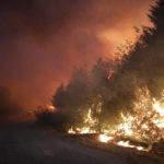 
              Fire spreads along a country road in Gouveia, in the Serra da Estrela mountain range, in Portugal on Thursday, Aug. 18, 2022. Authorities in Portugal said Thursday they had brought under control a wildfire that for almost two weeks raced through pine forests in the Serra da Estrela national park, but later in the day a new fire started and threatened Gouveia. (AP Photo/Joao Henriques)
            