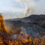 
              A forest burns during a wildfire near Altura, eastern Spain, on Friday, Aug. 19, 2022. Up to early August, 43 large wildfires — those affecting at least 500 hectares (1,235 acres) — were recorded in the Mediterranean country by the Ministry for Ecological transition, while the average in previous years was 11. The European Forest Fire Information System estimates a burned surface of 284,764 hectares (704,000 acres) in Spain this year. That's four times higher than the average since records began in 2006. (AP Photo/Alberto Saiz)
            