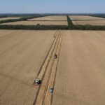 
              Harvesters collect wheat on a field in Krasnodar region, southern Russia, Friday, July 1, 2022. Russia is the world's biggest exporter of wheat, accounting for almost a fifth of global shipments. It is expected to have one of its best ever crop seasons this year. Agriculture is among the most important industries in Russia, accounting for around 4% of its GDP, according to the World Bank. (AP Photo)
            