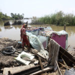 
              Muktiyara Bibi looks for salvageable belongings from her flood-hit home in Shikarpur district of Sindh province, of Pakistan, Tuesday, Aug. 30, 2022. Disaster officials say nearly a half million people in Pakistan are crowded into camps after losing their homes in widespread flooding caused by unprecedented monsoon rains in recent weeks. (AP Photo/Fareed Khan)
            