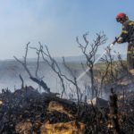 
              A firefighter in action during extinguishing works of a wildfire near Altura, eastern Spain, on Friday, Aug. 19, 2022. Up to early August, 43 large wildfires — those affecting at least 500 hectares (1,235 acres) — were recorded in the Mediterranean country by the Ministry for Ecological transition, while the average in previous years was 11. The European Forest Fire Information System estimates a burned surface of 284,764 hectares (704,000 acres) in Spain this year. That's four times higher than the average since records began in 2006. (AP Photo/Alberto Saiz)
            