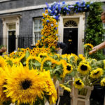 
              Florists prepare the entrance to 10 Downing Street with flowers in the Ukraine national colours in London, Tuesday, Aug. 23, 2022 a day ahead of the Independence Day of Ukraine. (AP Photo/Frank Augstein)
            