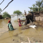 
              Women wade through a flooded area after heavy rains in the Shikarpur district of Sindh province, Pakistan, Tuesday, Aug. 30, 2022. Disaster officials say nearly a half million people in Pakistan are crowded into camps after losing their homes in widespread flooding caused by unprecedented monsoon rains in recent weeks. (AP Photo/Fareed Khan)
            