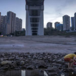 
              A woman looks for crabs under a bridge in the dry riverbed of the Yangtze River in southwestern China's Chongqing Municipality, Friday, Aug. 19, 2022. Ships crept down the middle of the Yangtze on Friday after the driest summer in six decades left one of the mightiest rivers shrunk to barely half its normal width and set off a scramble to contain damage to a weak economy in a politically sensitive year. (AP Photo/Mark Schiefelbein)
            