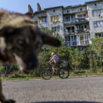 
              A bicyclist and a stray dog move past a damaged apartment building from a May rocket attack in Sloviansk, Donetsk region, eastern Ukraine, Saturday, Aug. 6, 2022. The echo of artillery shells thundering in the distance mingles with the din of people gathered around Sloviansk's public water pumps, piercing the uneasy quiet that smothers the nearly deserted streets of this eastern Ukrainian city. (AP Photo/David Goldman)
            