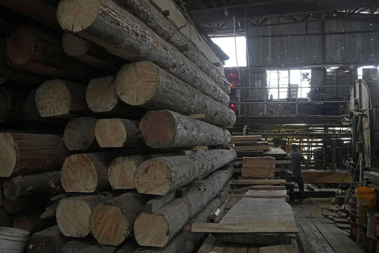 A worker cuts the wood in the Chi Kee Sawmill & Timber in Hong Kong, Tuesday, July 12, 2022. Chi Ke...