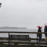 
              Pedestrians shield themselves with umbrellas while walking along the Halifax waterfront as rain falls ahead of Hurricane Fiona making landfall in Halifax, Friday, Sept. 23, 2022. (Darren Calabrese /The Canadian Press via AP)
            