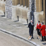 
              Britain's Prince Andrew, left, stands with the Queen's corgis, Muick and Sandy, inside Windsor Castle, ahead of the Committal Service for Britain's Queen Elizabeth II, in Windsor, Monday, Sept. 19, 2022. (Glyn Kirk/Pool Photo via AP)
            