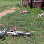 
              Bicycles belonging to some of Kesha Tate's nine children still line the front yard of her home on Thursday, Sept. 1, 2022 in Gaffney, S.C. The South Carolina family is seeking justice for Tate killed by her neighbor who was intoxicated and making target practice in his backyard. Nicholas Skylar Lucas is accused of murder in the shooting death of  Tate after crime scene technicians debunked his claim that the shots ricocheted off his target. (AP Photo/James Pollard)
            