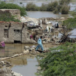 
              A man looks for salvageable belongings from his flood-damaged home in the Shikarpur district of Sindh Province, Pakistan, Thursday, Sept. 1, 2022. Pakistani health officials on Thursday reported an outbreak of waterborne diseases in areas hit by recent record-breaking flooding, as authorities stepped up efforts to ensure the provision of clean drinking water to hundreds of thousands of people who lost their homes in the disaster. (AP Photo/Fareed Khan)
            