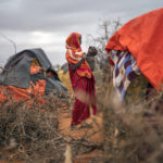 
              A Somali woman breastfeeds her child at a camp for displaced people on the outskirts of Dollow, Somalia on Tuesday, Sept. 20, 2022. Somalia has long known droughts, but the climate shocks are now coming more frequently, leaving less room to recover and prepare for the next. (AP Photo/Jerome Delay)
            