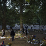 
              People gather to bring flowers for Queen Elizabeth II at Green Park, near Buckingham Palace in London, early Sunday, Sept. 18, 2022. The Queen will lie in state in Westminster Hall for four full days before her funeral on Monday Sept. 19. (AP Photo/Felipe Dana)
            