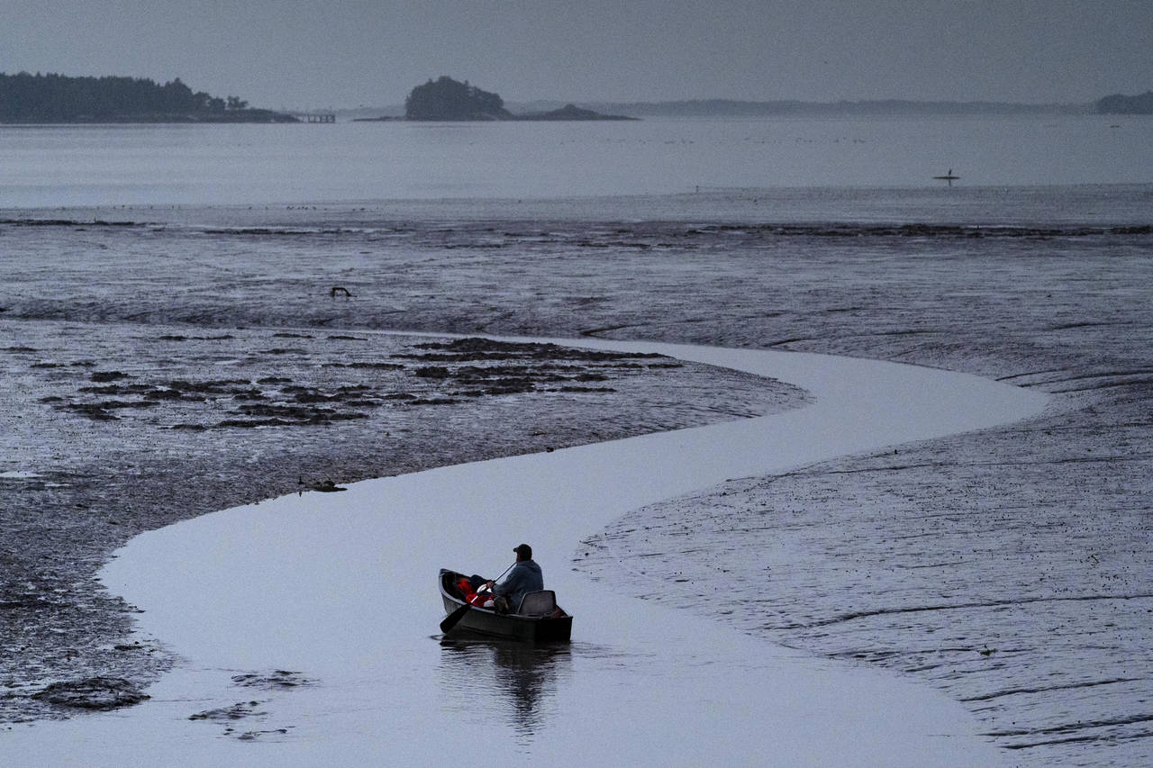FILE - Clam digger Scott Lavers paddles his canoe on his way to work on a mudflat exposed by the re...