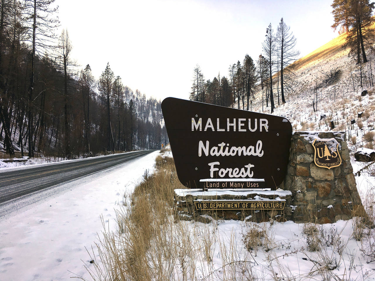 FILE - This Dec. 7, 2016 photo, shows the entrance to the Malheur National Forest near John Day, Or...